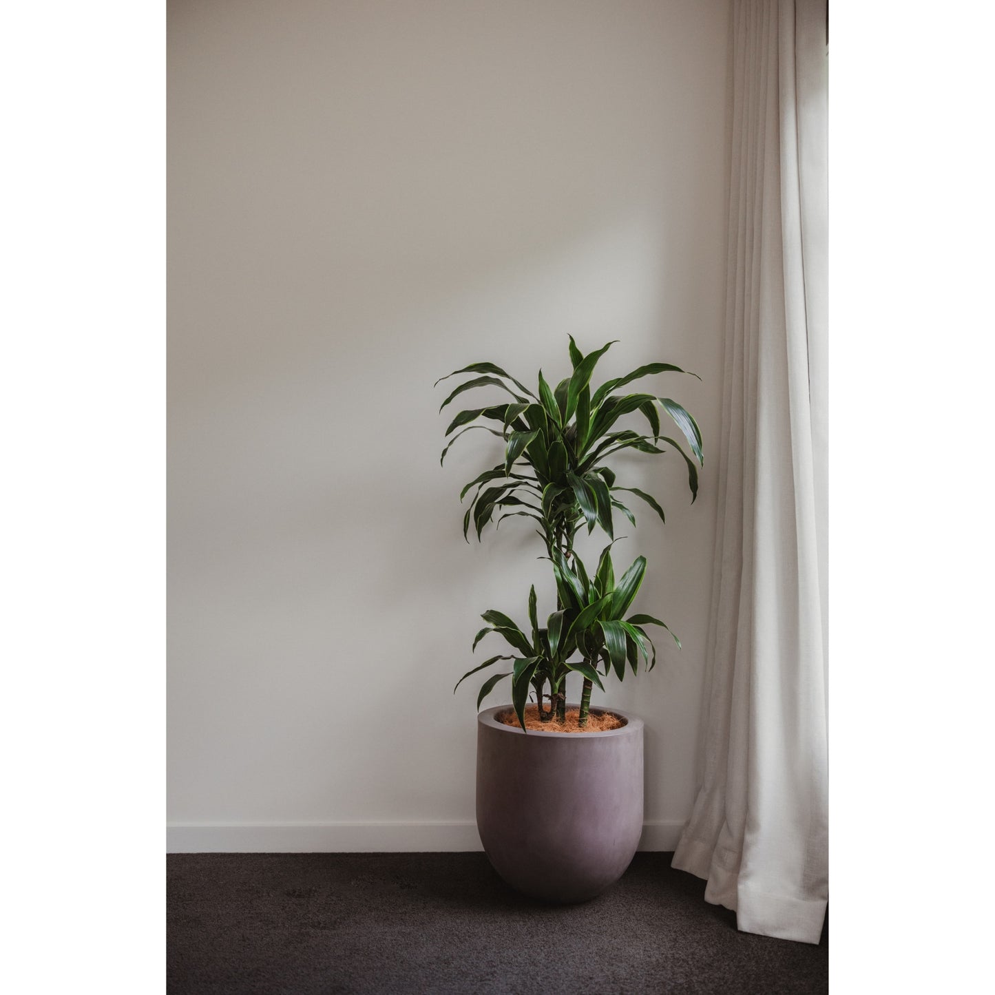 Lisbon 400 Planter. 40cm W x 40cm H.