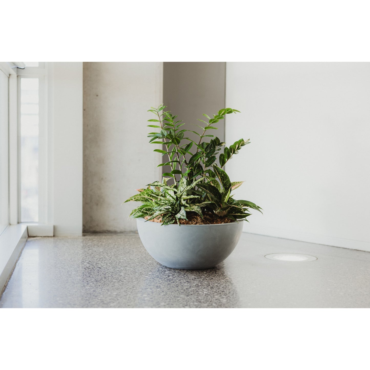 Barcelona 500 Bowl Planter