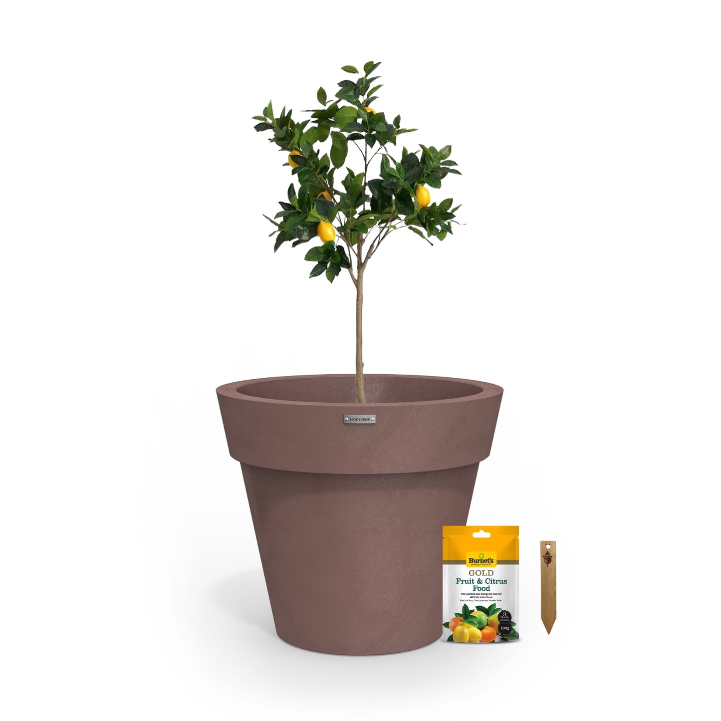 The Ultimate Citrus Planter Starter Pack