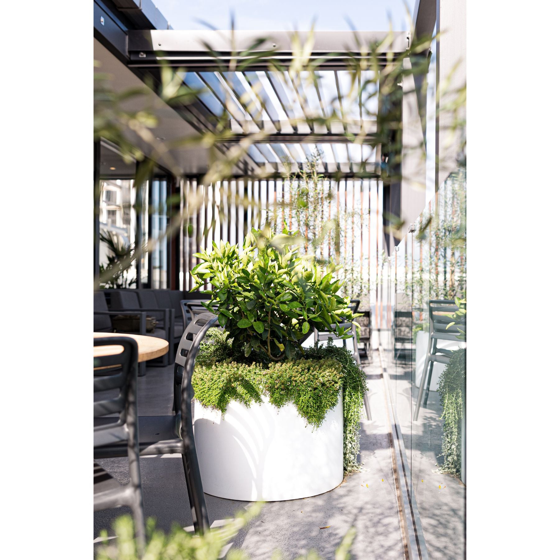 Planter pots at a cafe create a balcony garden.