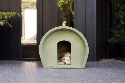 Medium Dog Manor