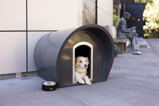 Medium Dog Manor With Chew Guard