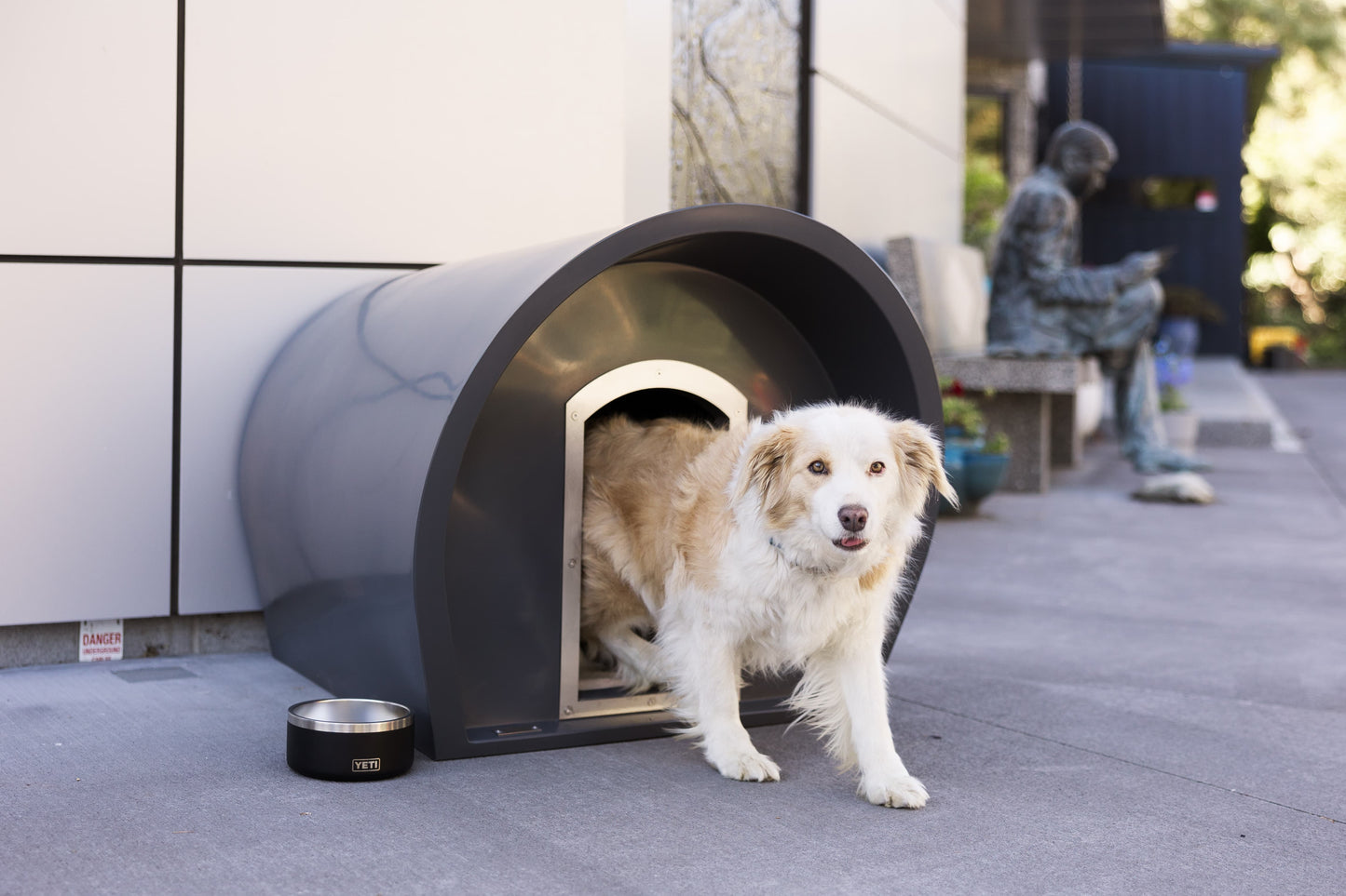 Medium Dog Manor With Chew Guard