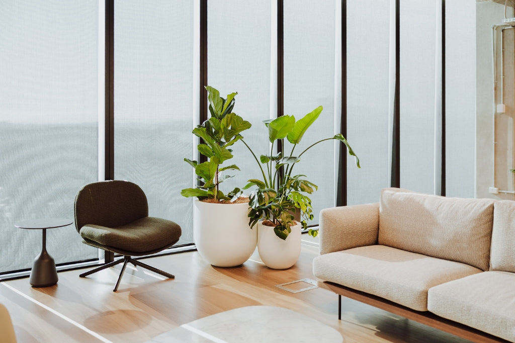 Modern living room with a beige sofa, brown chair, and potted plants.
