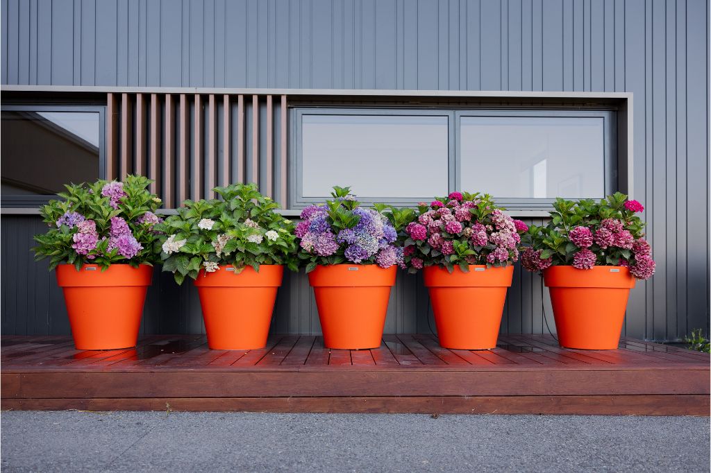 Five large planters in orange sitting in a row on a deck.