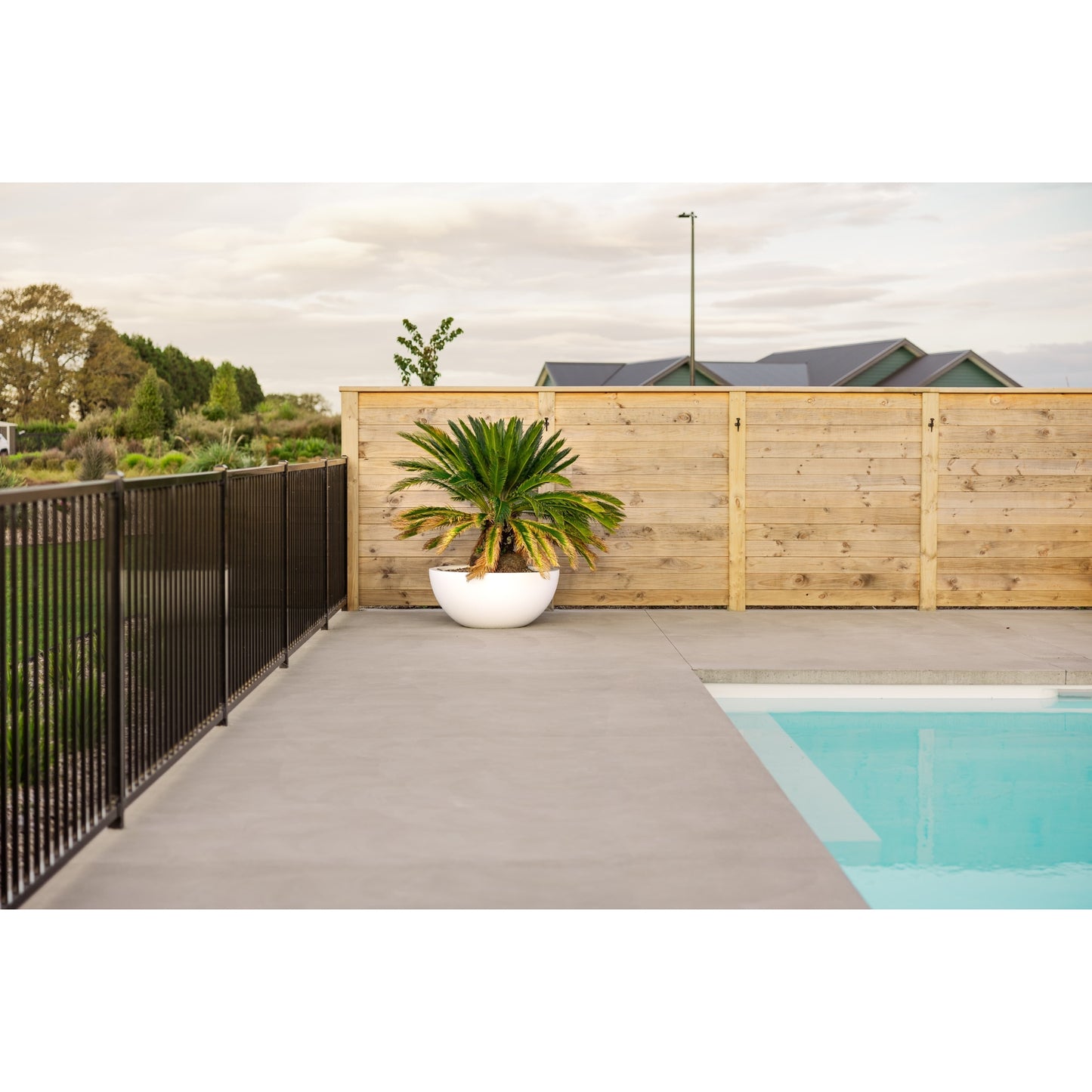A large white Modscene bowl planter by a pool.