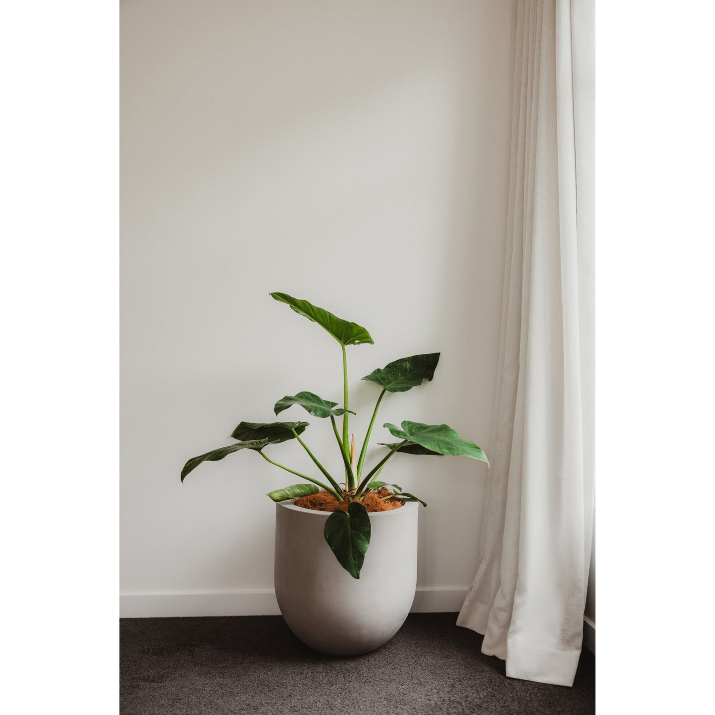 Lisbon 400 Planter. 40cm W x 40cm H.