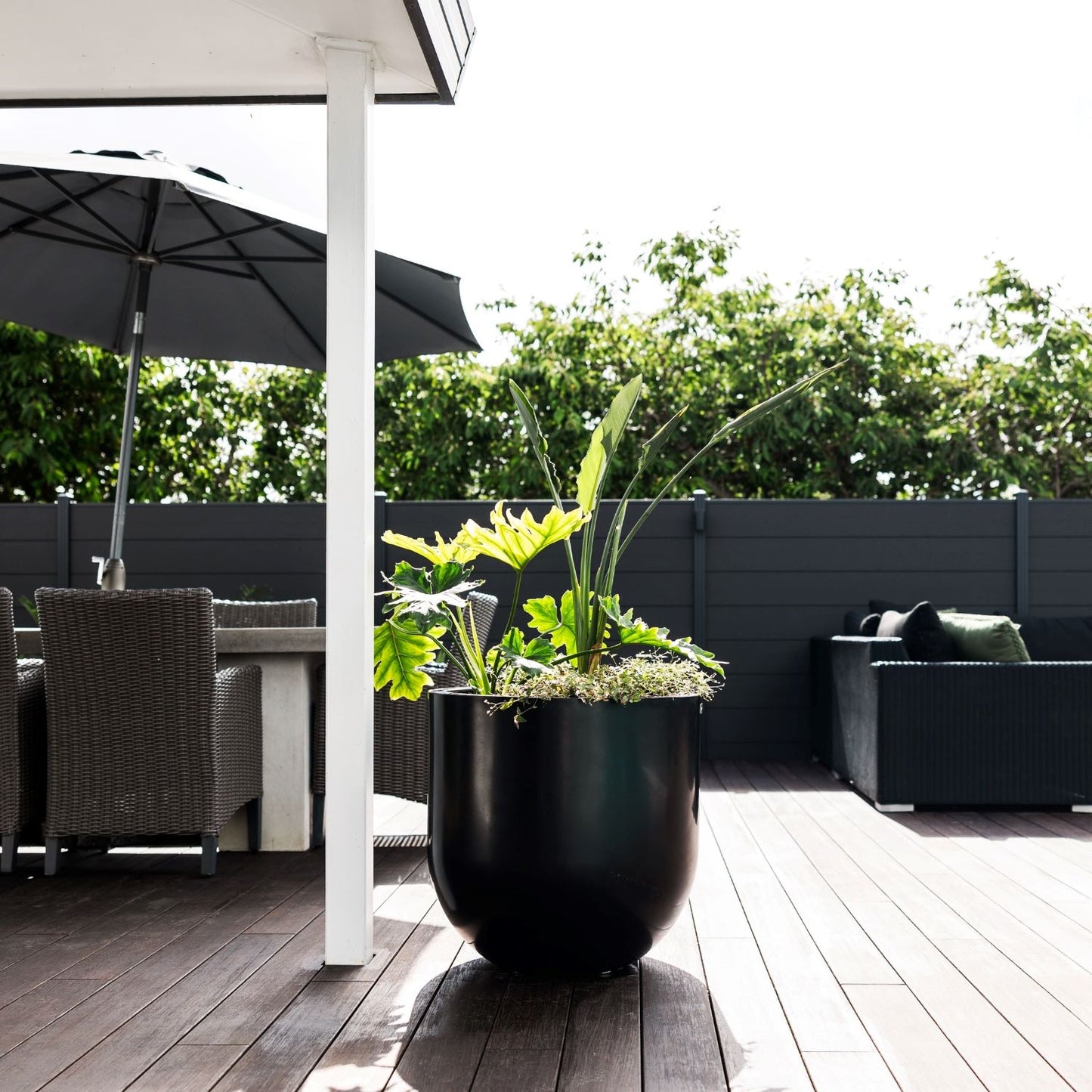 Lisbon 600 Planter. 60cm W x 60cm H.