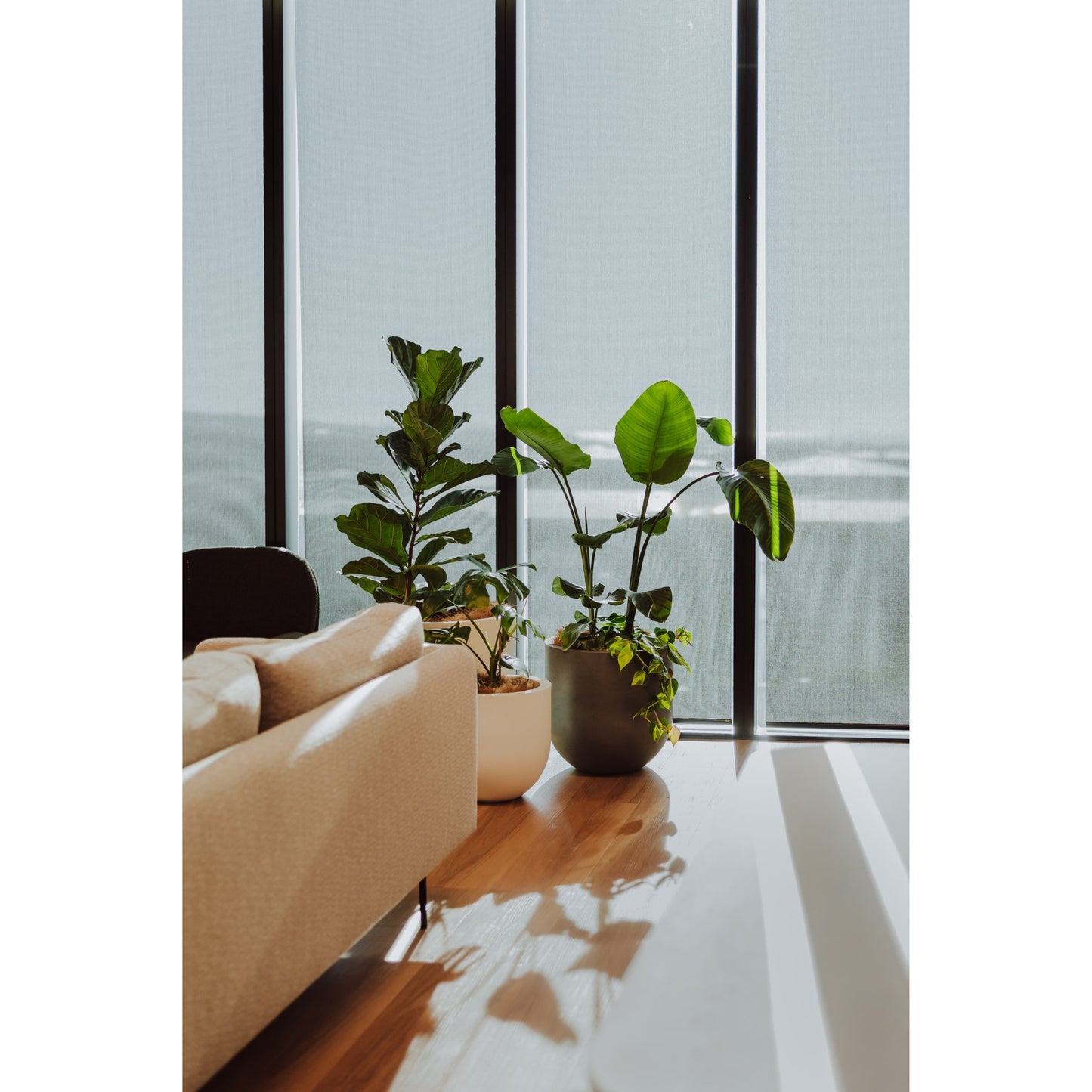 Modern living room with a beige sofa and potted plants in front of large windows.