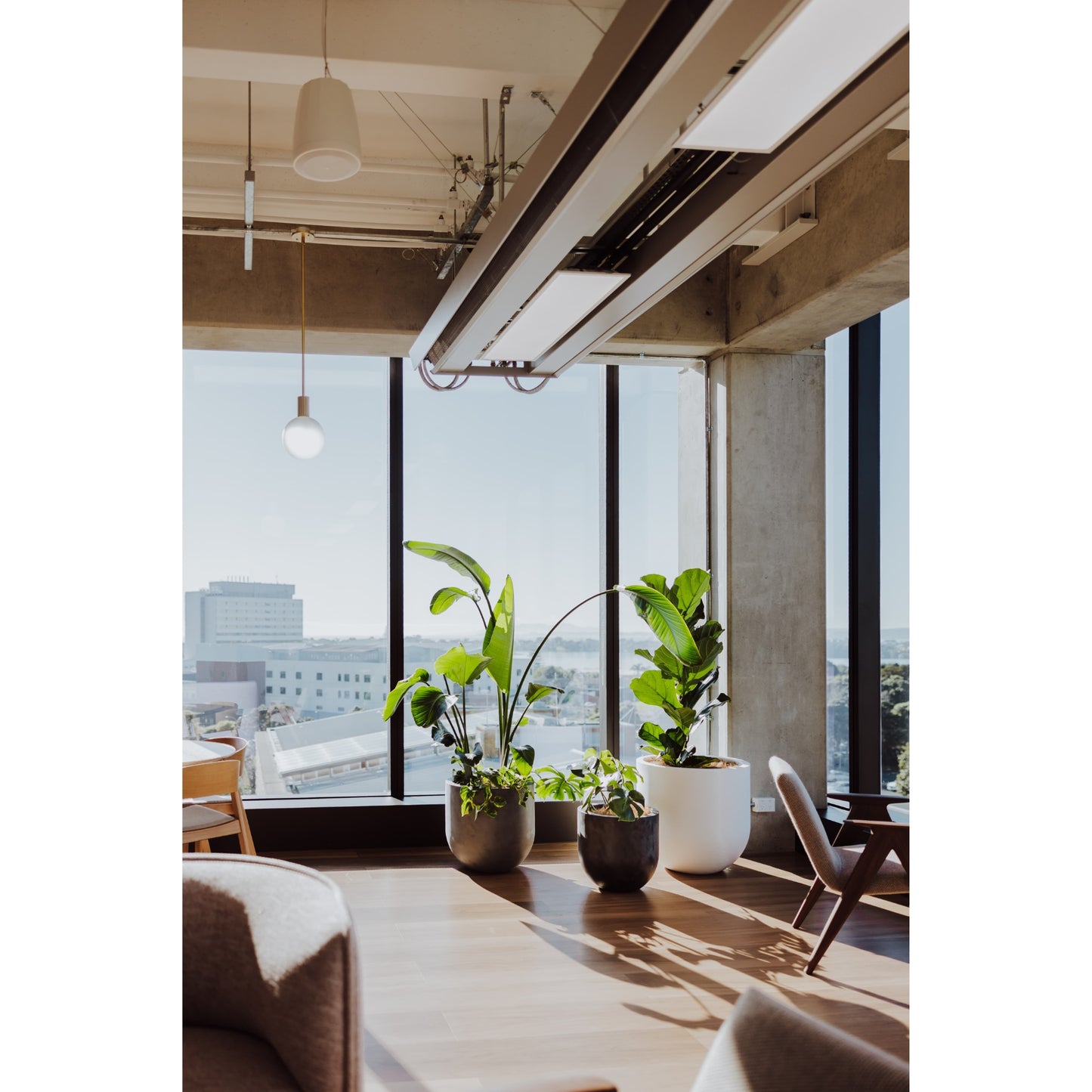 Modern office space with large windows, plants, and a wooden floor.