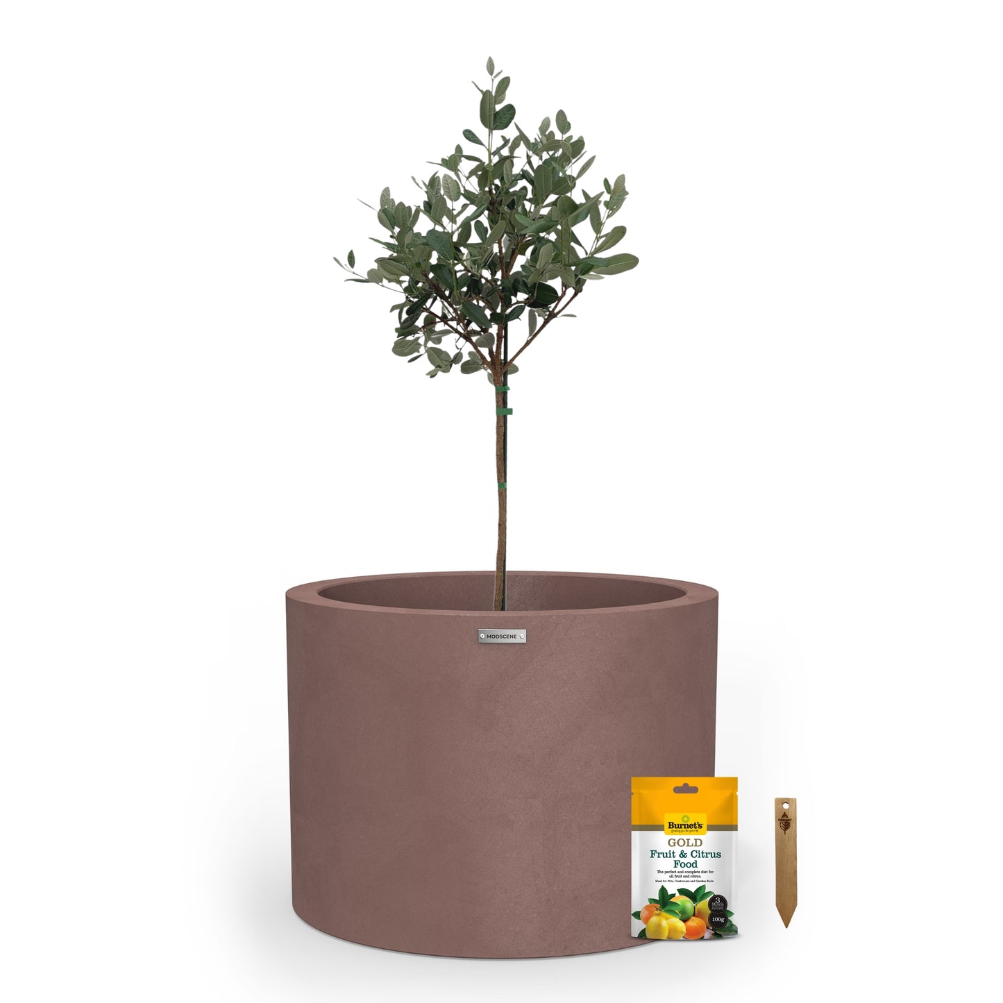 Cylindrus 500 Citrus & Fruit Tree Starter Pack
