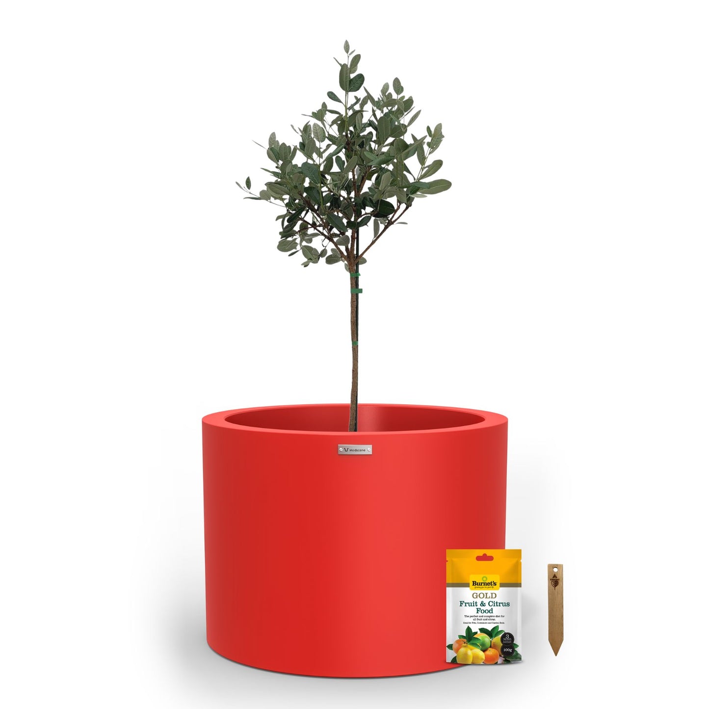 A large red planter pot used to plant fruit trees.