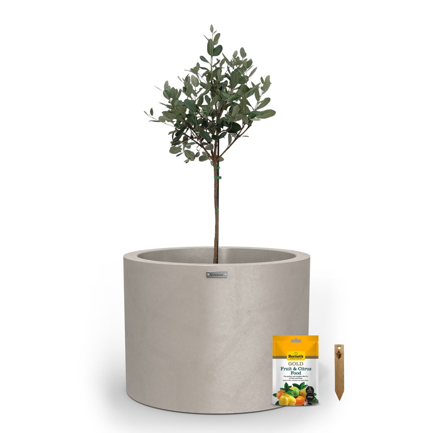 A large light brown planter pot used to plant fruit trees.