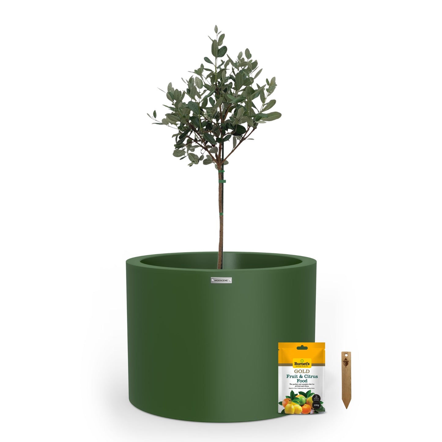 Cylindrus 500 Citrus & Fruit Tree Starter Pack