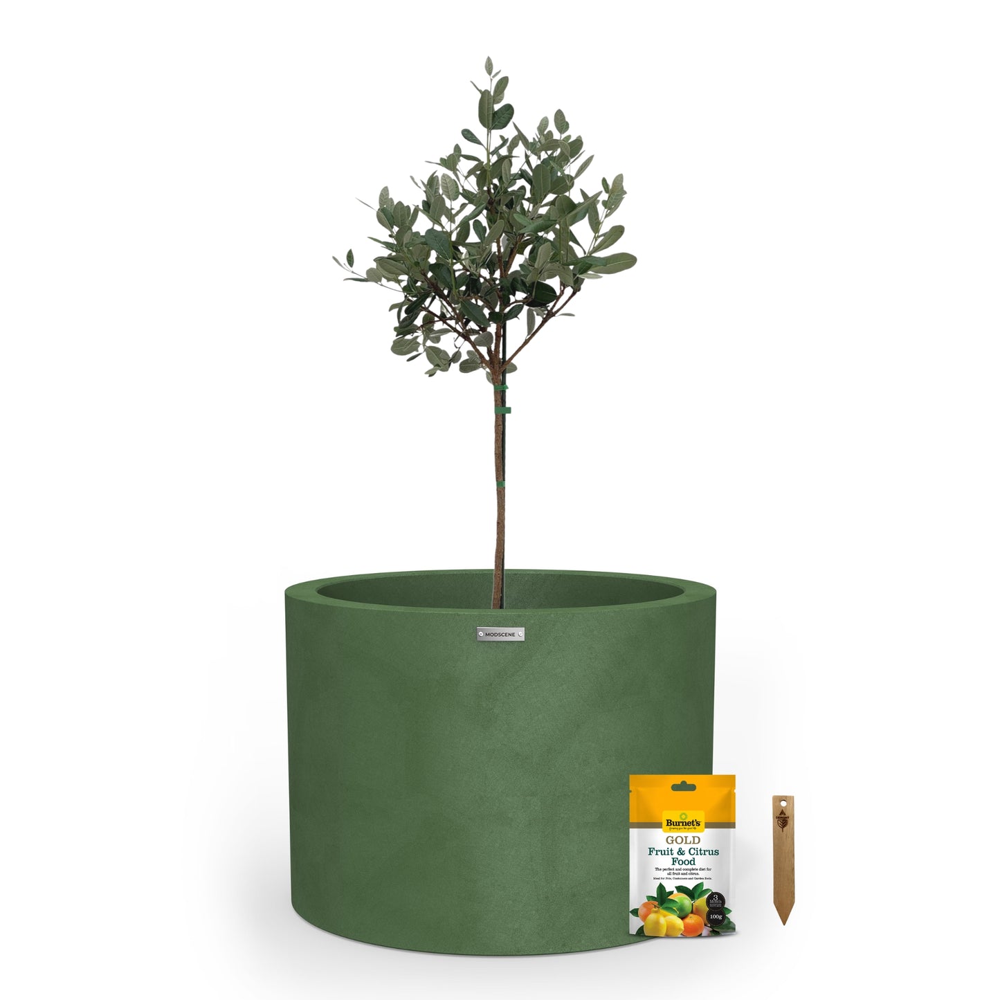 Cylindrus 500 Citrus & Fruit Tree Starter Pack