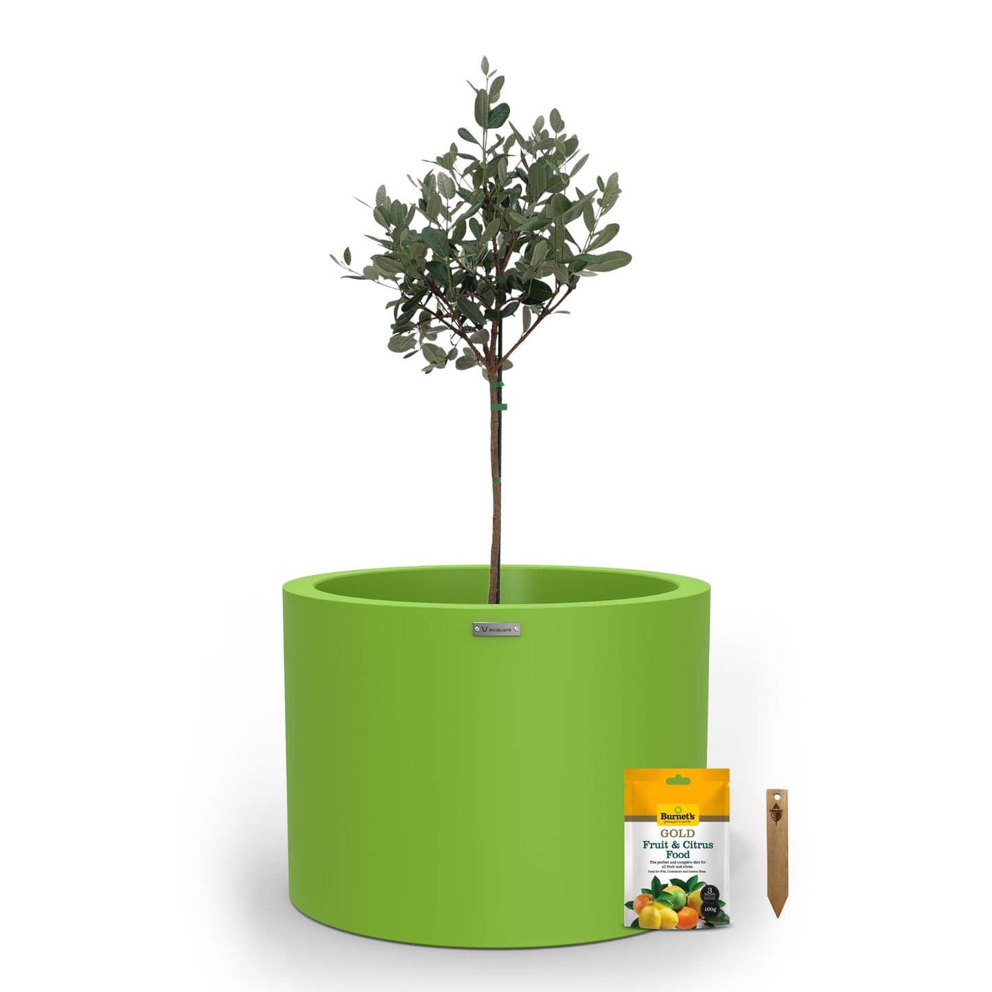 A large lime green planter pot used to plant fruit trees.