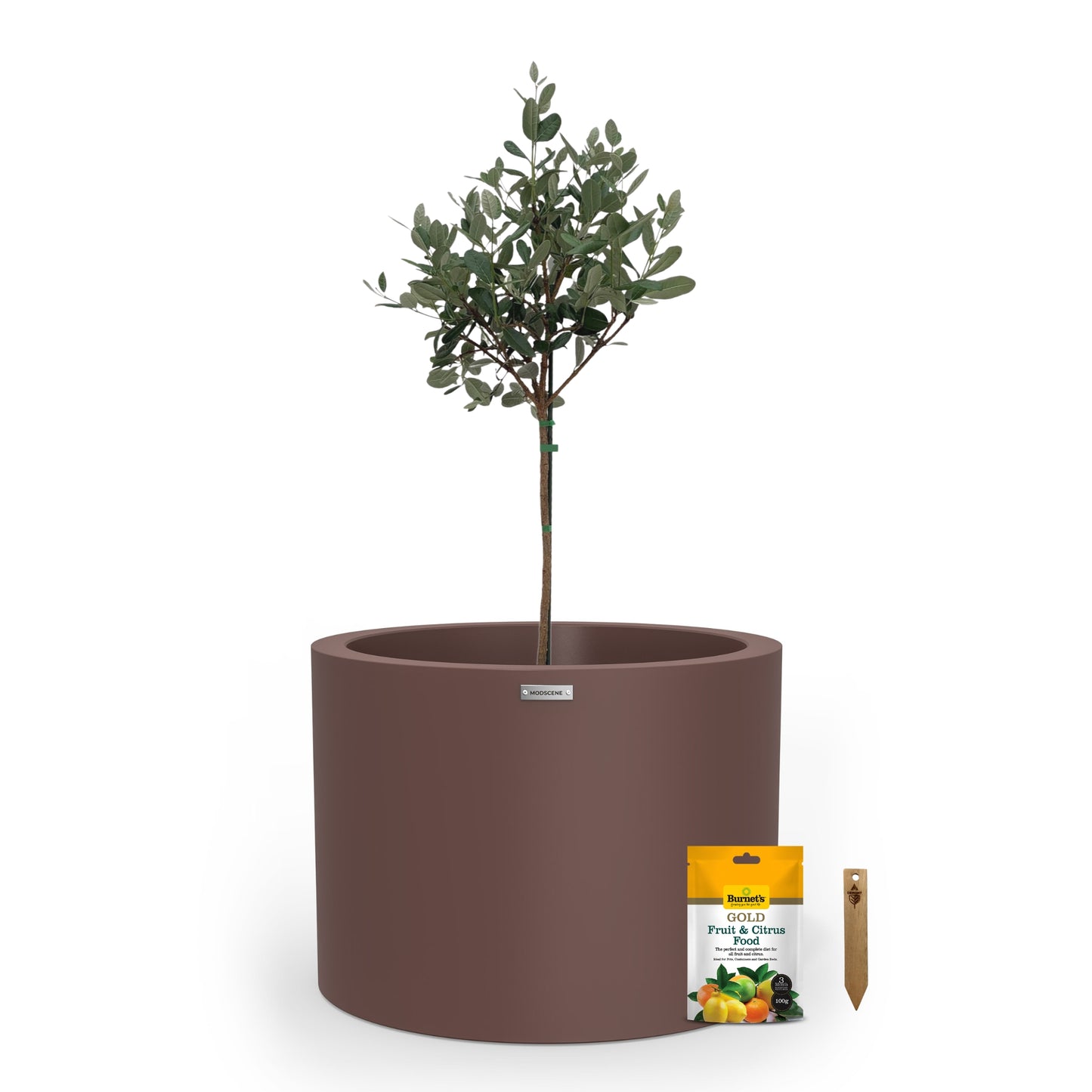 Cylindrus 500 Citrus & Fruit Tree Starter Pack