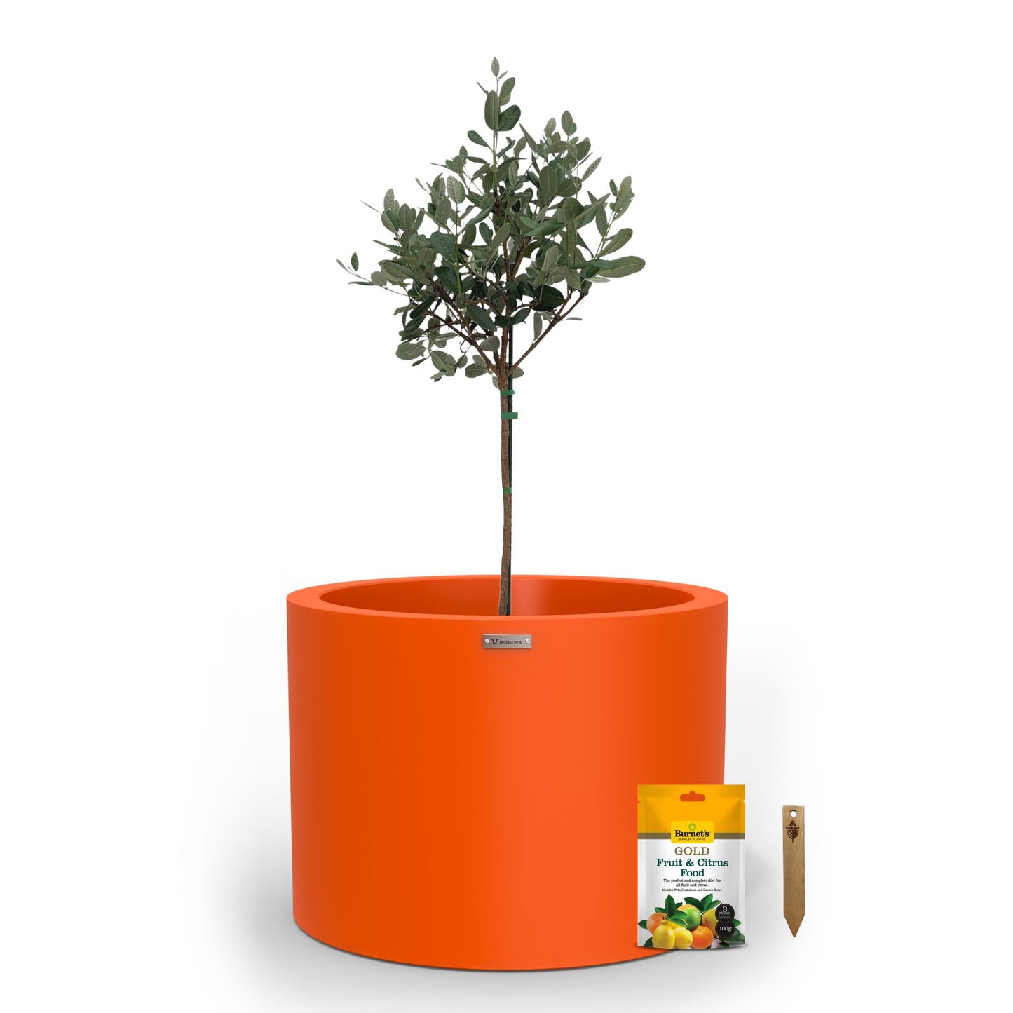 A large orange planter pot used to plant fruit trees.