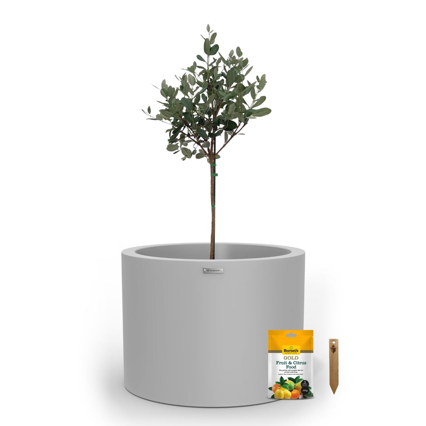 A large light grey planter pot used to plant fruit trees.