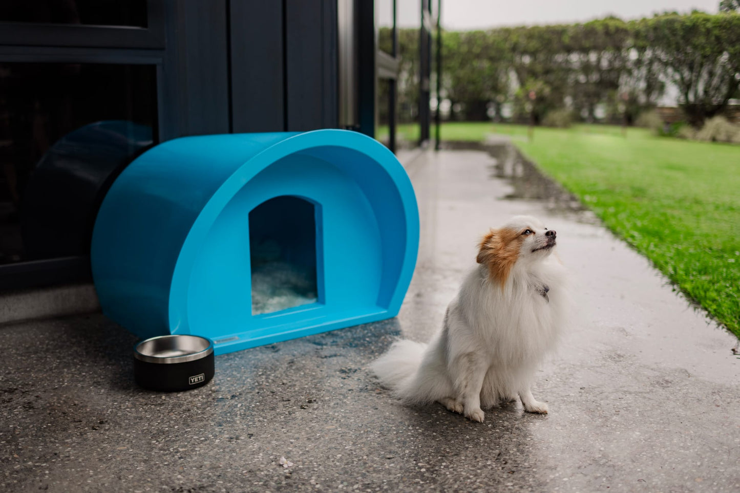 Small Dog Manor