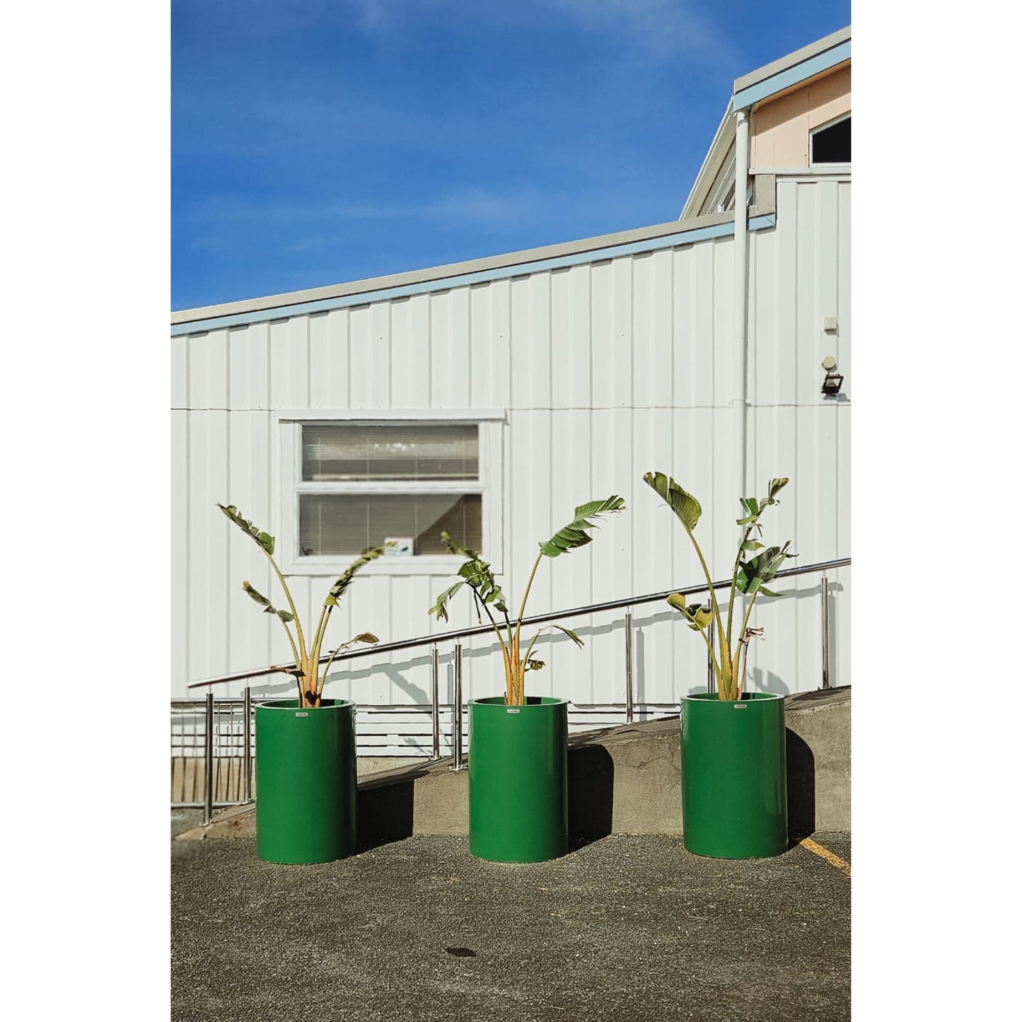 Three green cylindrical planters with plants in front of a building.