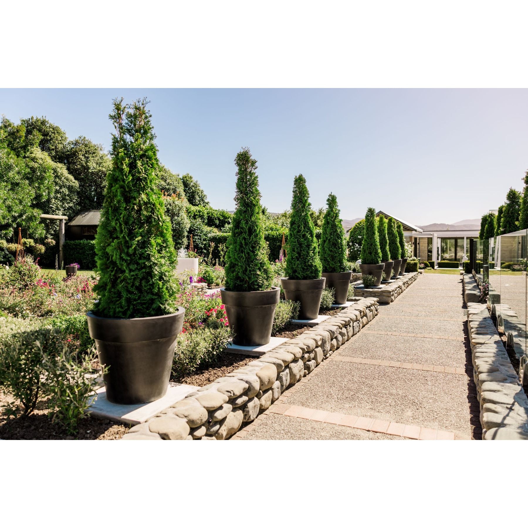 Large black planters in a garden beside a stone pathway.