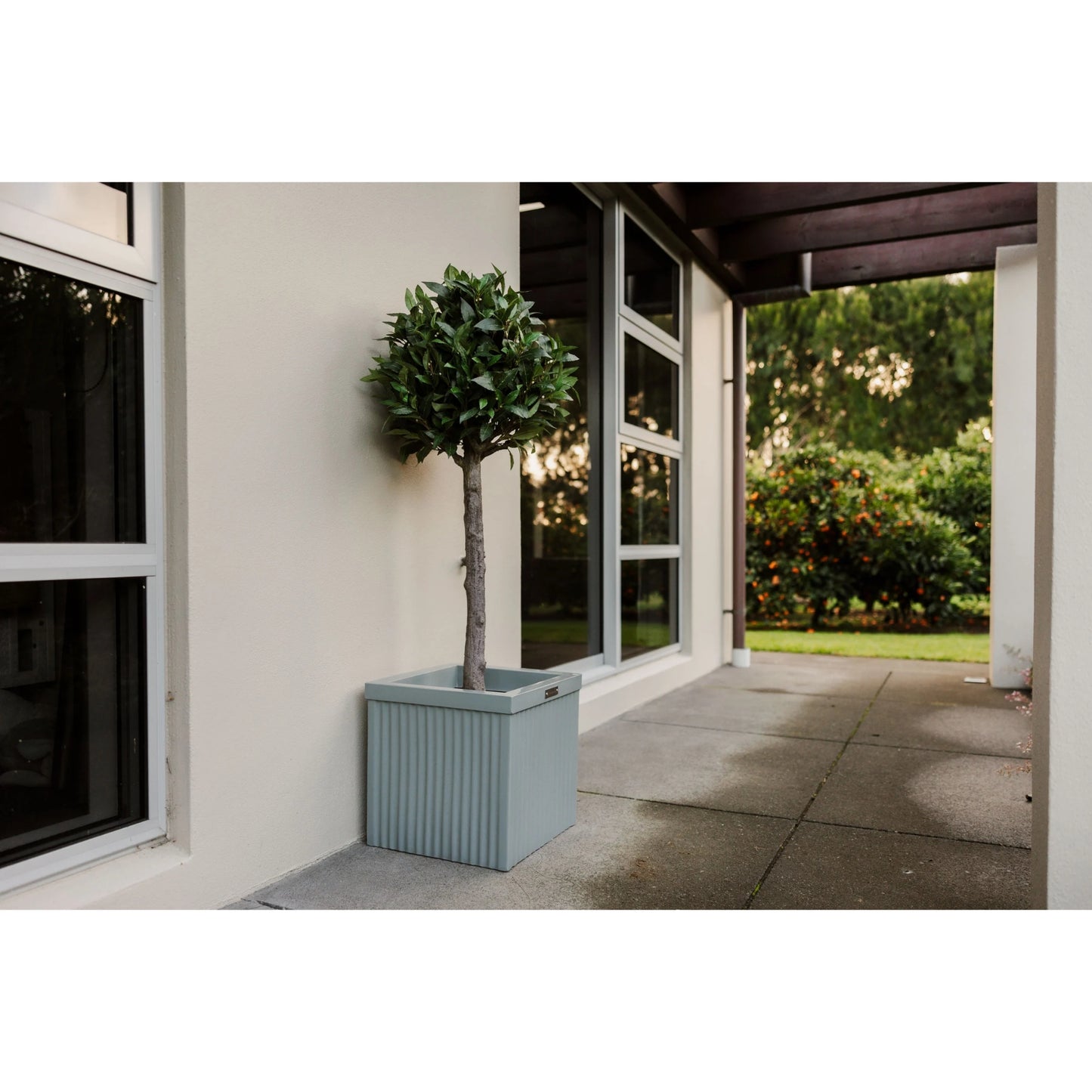 The Tuscany planter by Modscene with a Bay Tree in it.