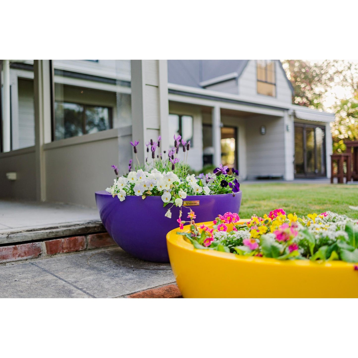 Large Modscene planter bowls on some garden stairs. The planters are high quality and very colourful.