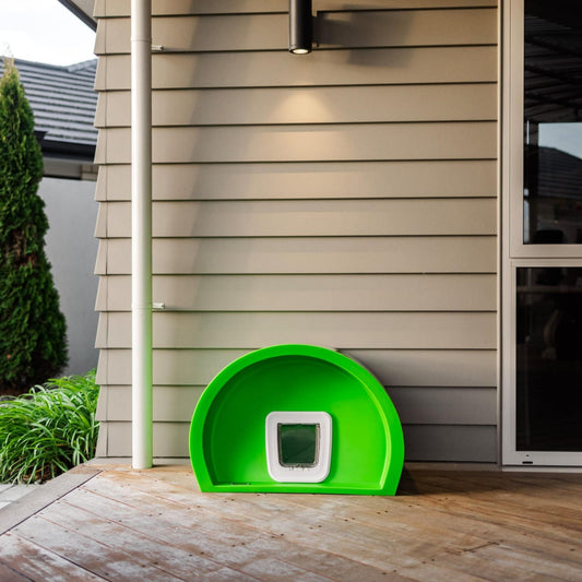 A Modscene green cat house. The best cat houses in NZ.