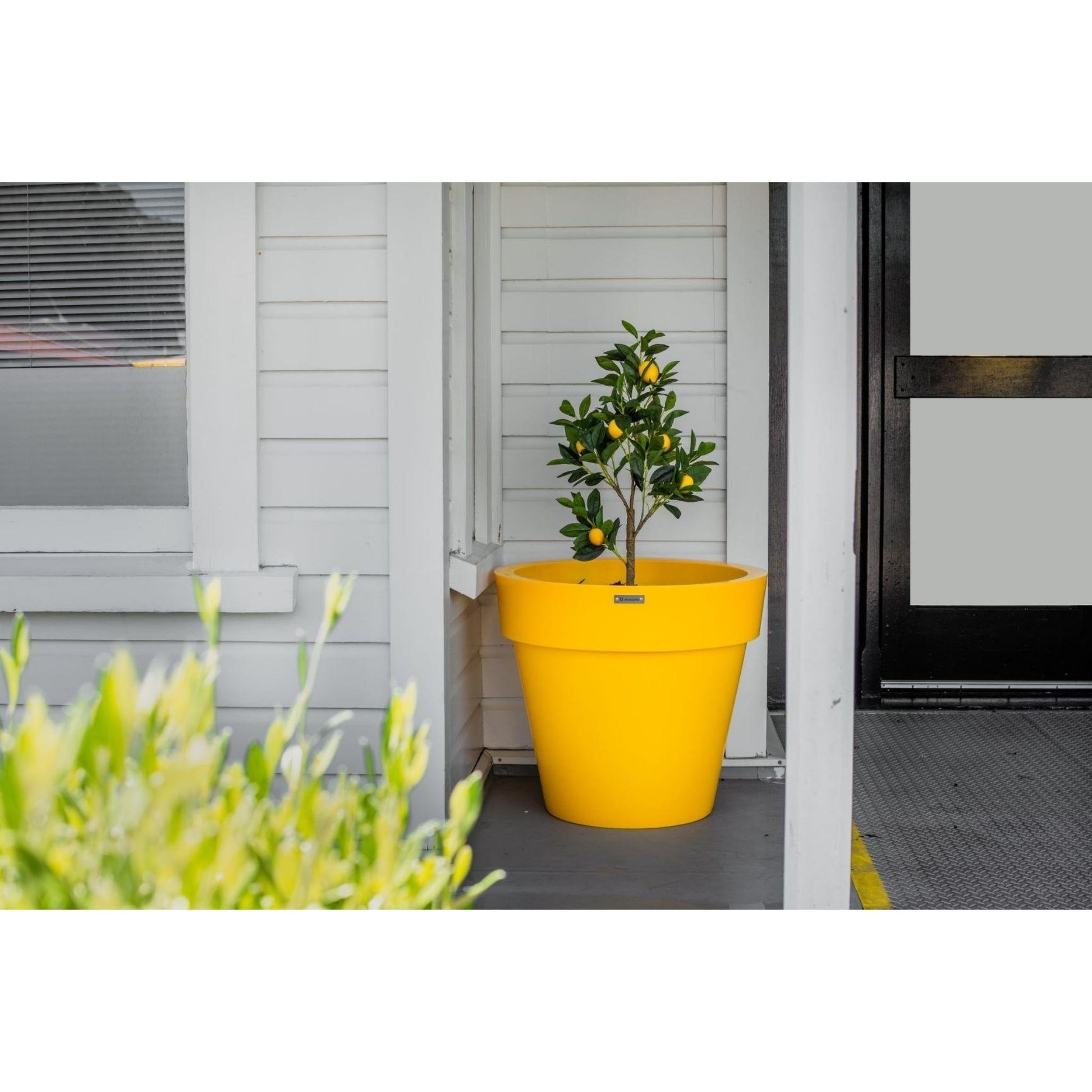 A large yellow planter pot in front of a house wall. The pot is planted with a citrus tree and some flowers.