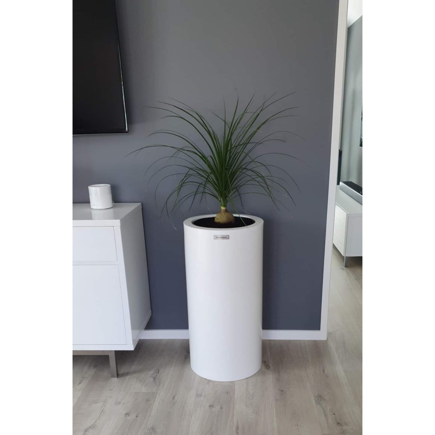 Ice White cylinder planter pot by Modscene NZ. NZ made planter pots.