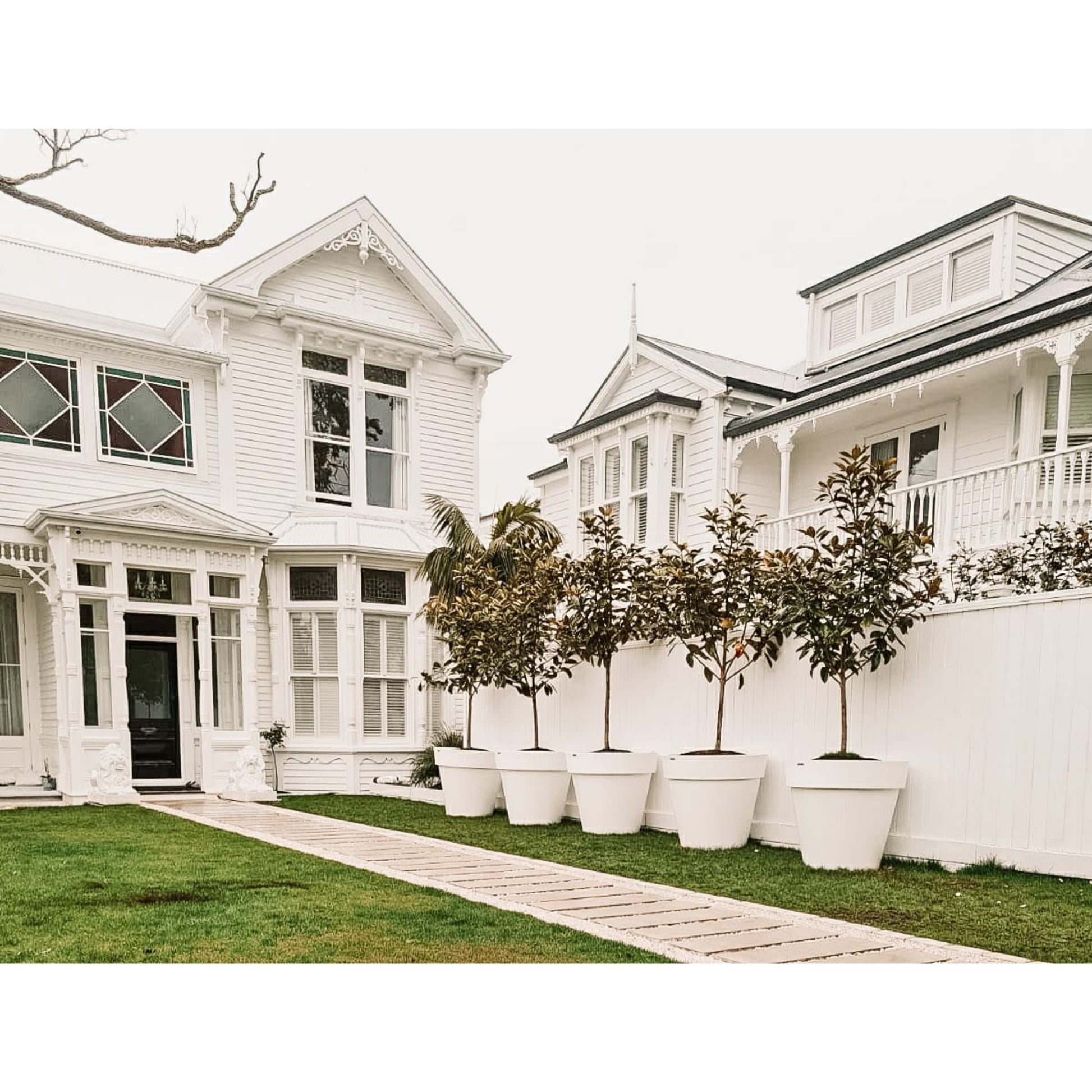 A stunning original villa with a row of big white pot plants. The planters are planted with Magnolia trees.