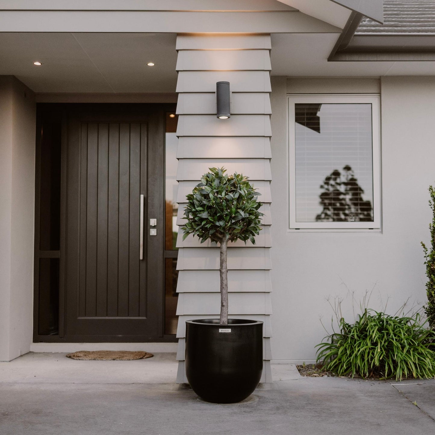 A black Modscene planter pot in front of a house. The planter pot is planted with a Bay Tree.