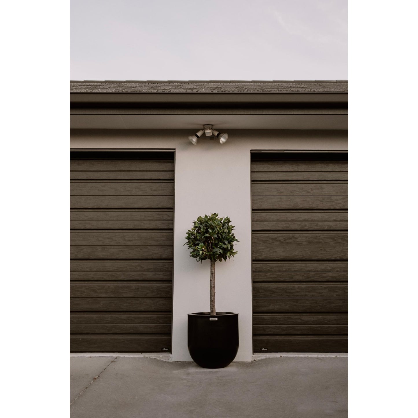 A black Modscene planter pot in front of a house. The planter pot is planted with a Bay Tree.