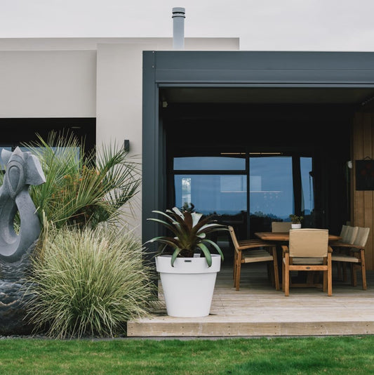 Large white pot planter on a veranda planted with a bromeliad. Pot planters NZ.