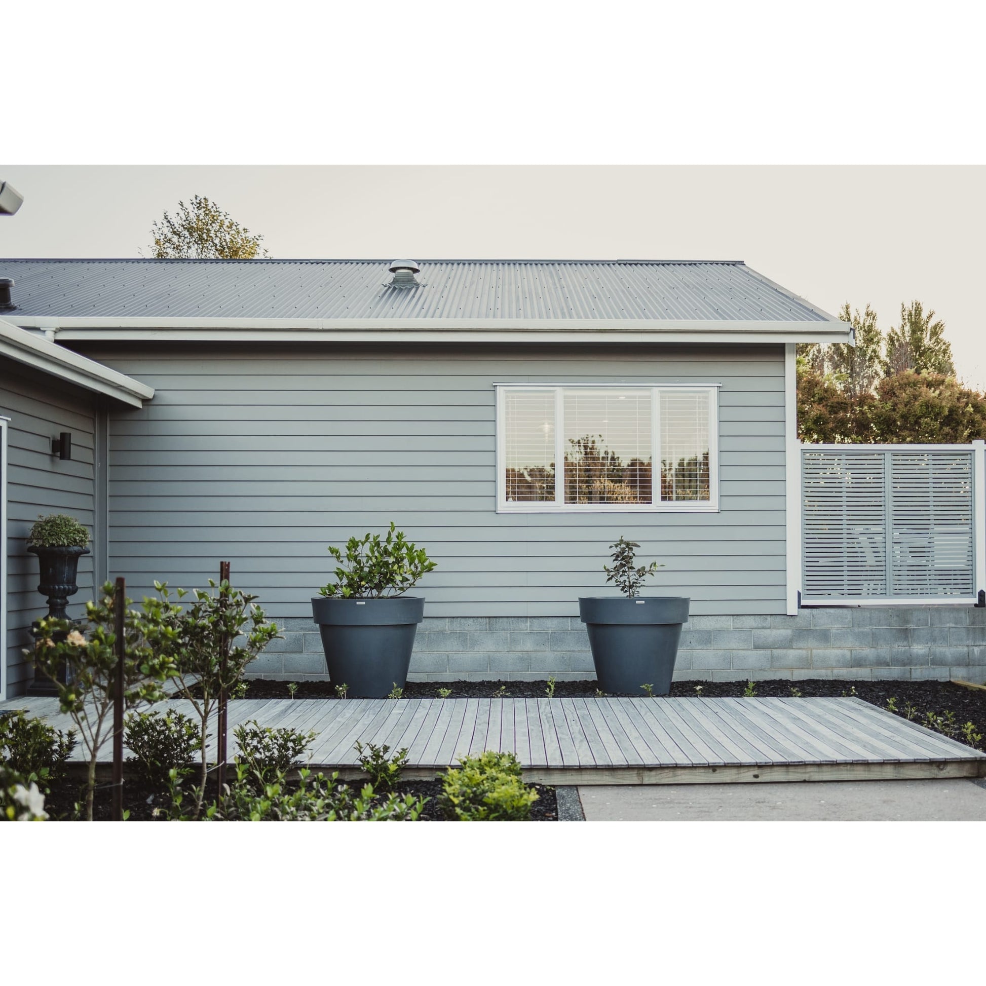 Two large Modscene planters in a garden with citrus trees in the pots. The planters are dark grey in colour.