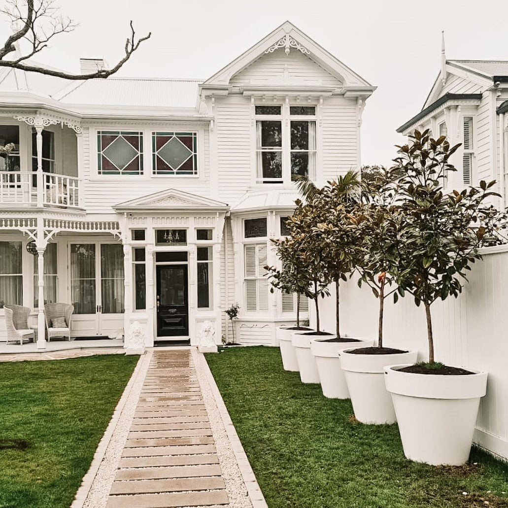 A stunning original villa with a row of big white pot plants. The planters are planted with Magnolia trees.