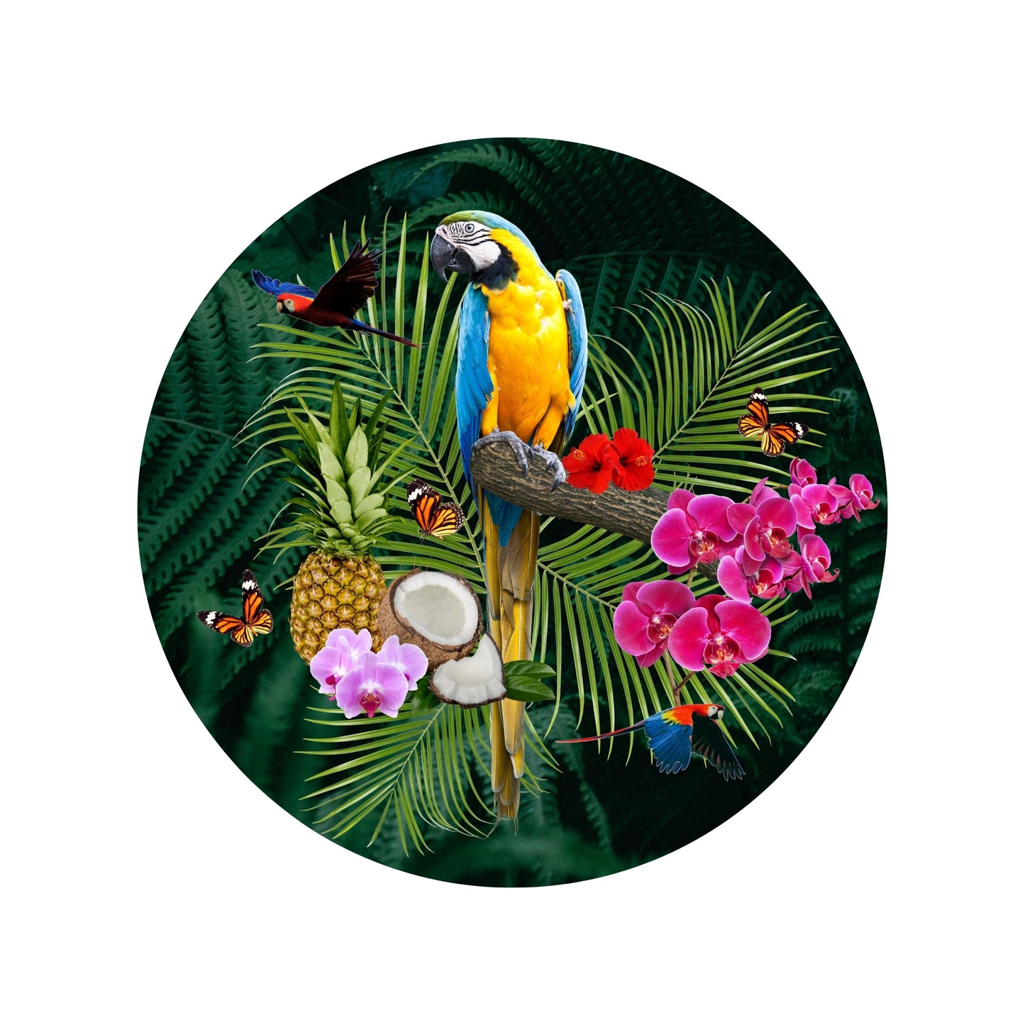Round Macaw table top.