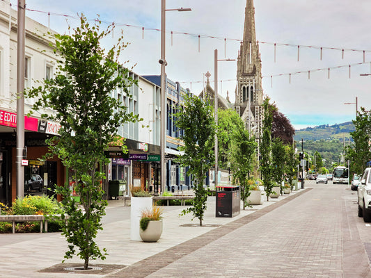 How to Choose the best Planters for Public Space