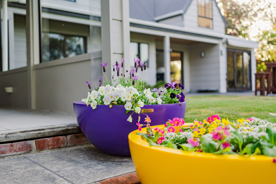 The Psychology of Colour: How Bright Pots Can Boost Your Mood