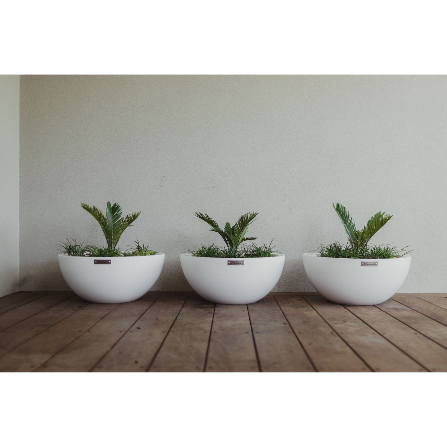 Three white planter bowls on a deck.