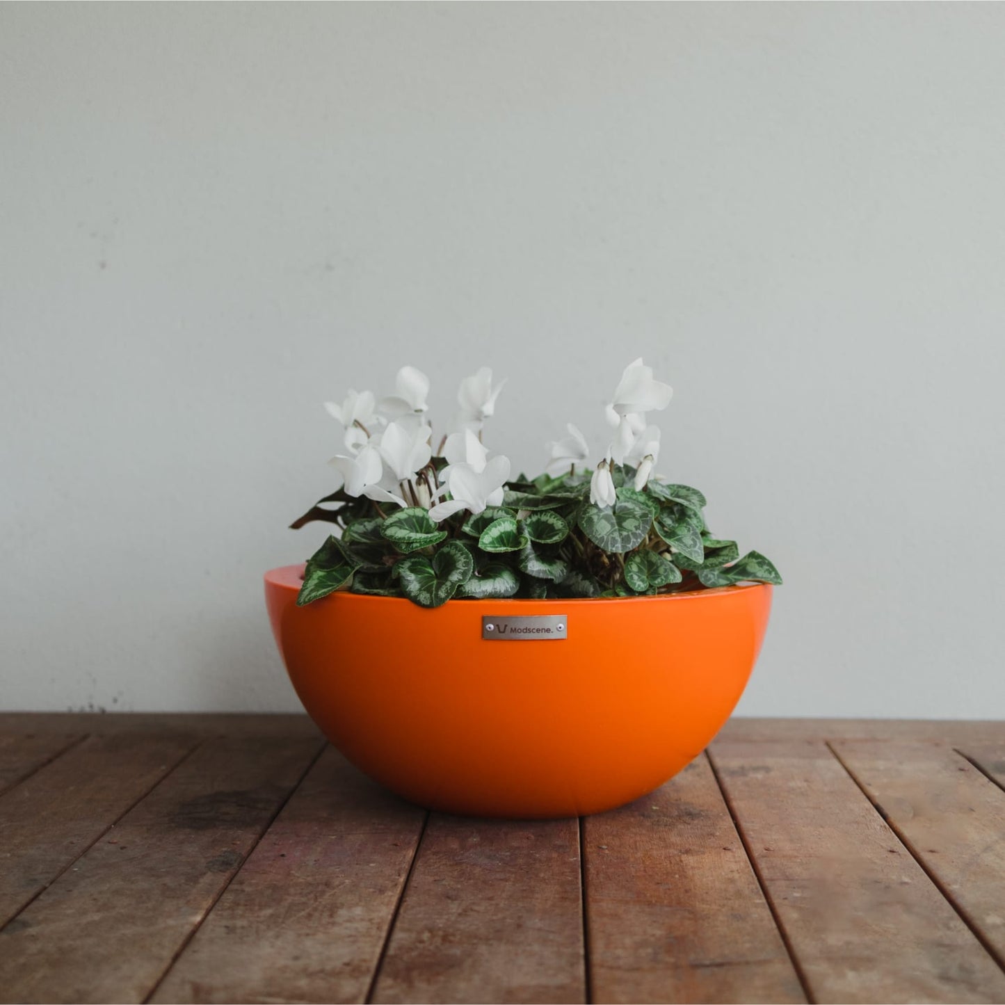 An orange Modscene Bowl planter on a balcony.
