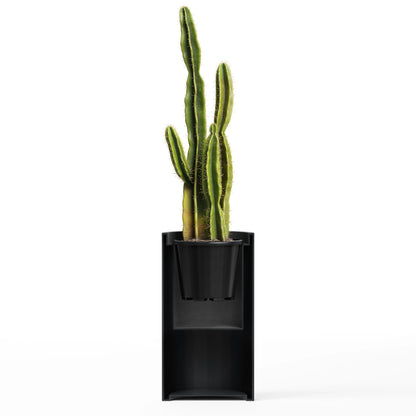 A green cactus plant in a tall, modern black planter against a solid white background.