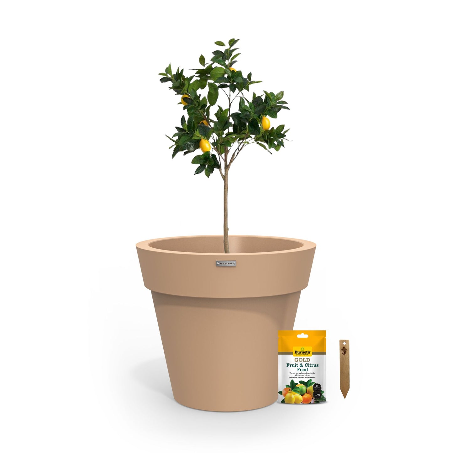 The Ultimate Citrus Planter Starter Pack