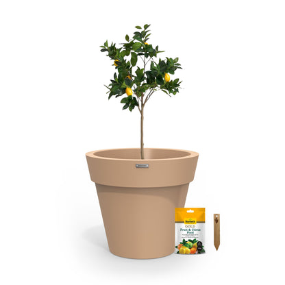 The Ultimate Citrus Planter Starter Pack