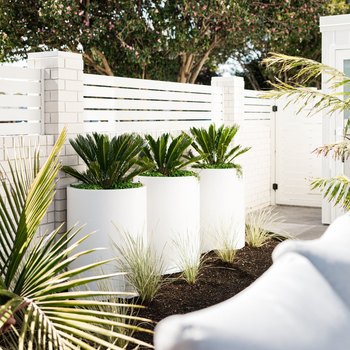 White planters with green plants in a garden setting