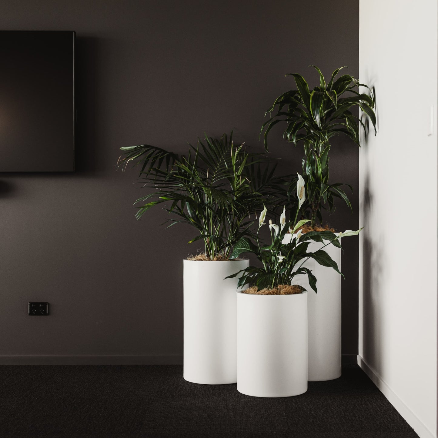 Cylindrus Vase Planter Cluster