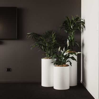 Cylindrus Vase Planter Cluster