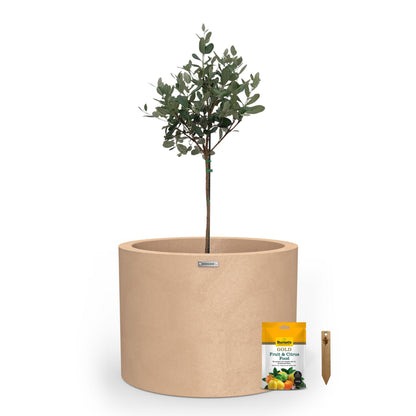 Potted plant with a small bag of fertilizer on a white background