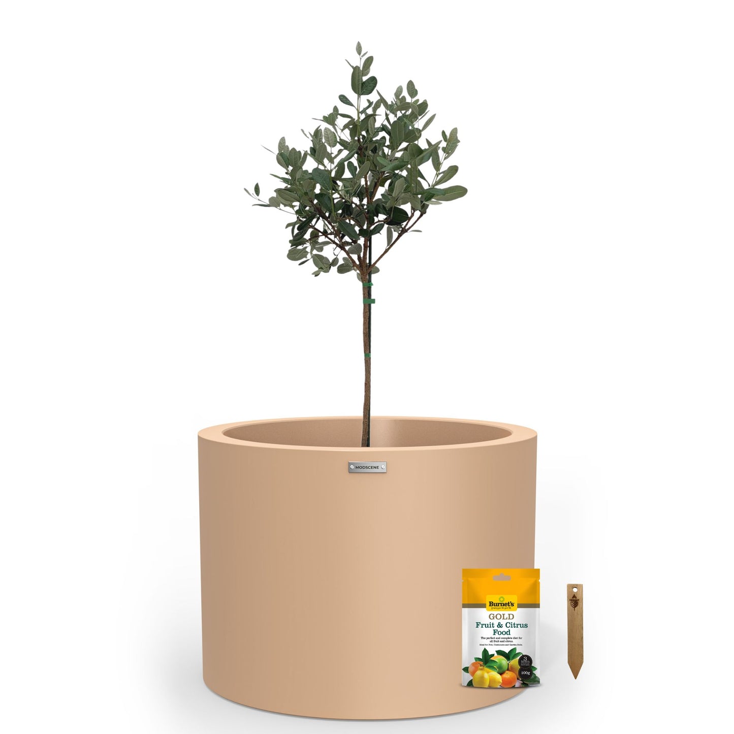 Cylindrus 500 Citrus & Fruit Tree Starter Pack